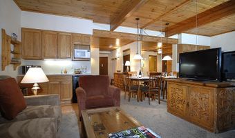 301 E Hyman Avenue Unit # 204 Wks 2 38 46 #204 (Wks 2,38,46), Aspen, CO 81611