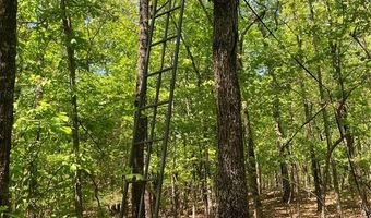 0 County Road 224, Alton, MO 65606