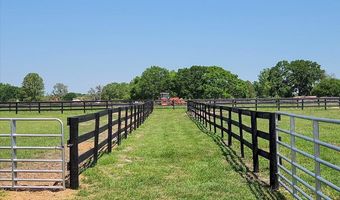 2120 15th Way, Bell, FL 32619