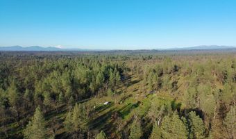 Buffalo Drive, Anderson, CA 96007