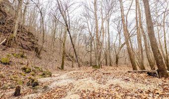 County Road 19-A, Alton, MO 65606