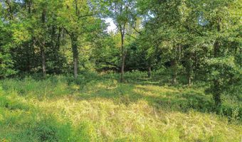 224 County Road 1003, Bardwell, KY 42023