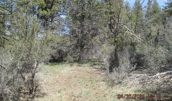 Jaguar Lane Lot 29, Bonanza, OR 97623