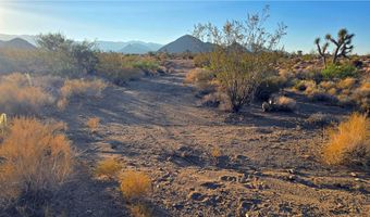 6 E Allison Dr, Yucca, AZ 86438