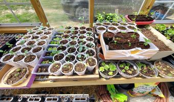 4775 S 50th Rd, Aldrich, MO 65601