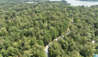 0 GIBSON COVE Dr 7.10 Acres Plus . 58 ac Access Lot, Ashville, AL 35953