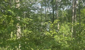 SWAN BAY Road 6, Amberg, WI 54102
