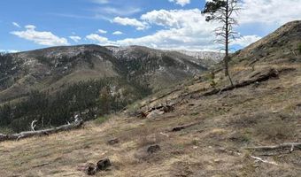 711 Saddle Ridge Rd, Bellvue, CO 80512