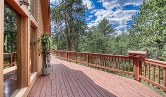 33 Grouse Ln, Bailey, CO 80421