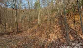 31 Reillys Bluff Rd 2, Barnardsville, NC 28709