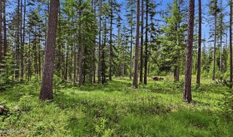 NNA Estate at Farragut Lot 3 Blk 1, Athol, ID 83801