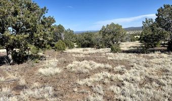 Lot 46 W Rawhide Ranch Road, Ash Fork, AZ 86320