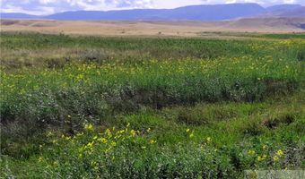 nhn Stagecoach Spur W lot 935-6, Belfry, MT 59008