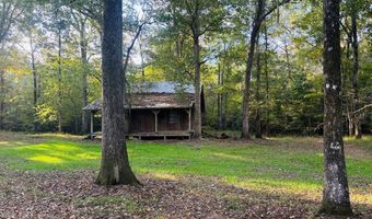 644 Ash-Harrel Loop, Abbeville, GA 31001
