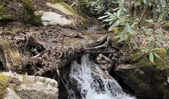 62 Acres Buckeye Ridge Rd, Beech Mountain, NC 28604