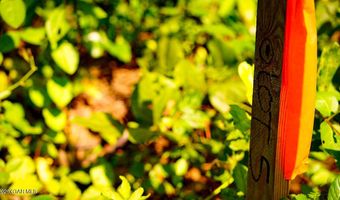 Cypress Pointe Drive lot 5, Brooksville, MS 39739