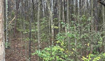 ELLY RD lot 50 81, Aroda, VA 22709
