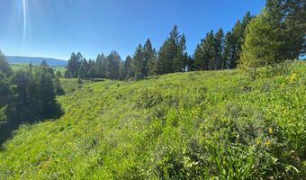 400 GROVER DRY FARM Rd, Afton, WY 83110