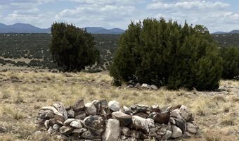 15 N 8641, Concho, AZ 85924