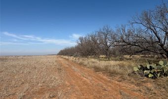 Tbd CR 260, Anson, TX 79501