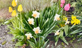 1045 Broadway, Bangor, ME 04401