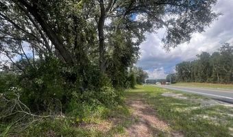 3109 US Hwy 129, Bell, FL 32619