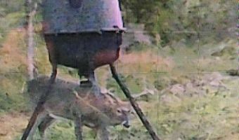 001 Farr Rd, Bolton, MS 39041