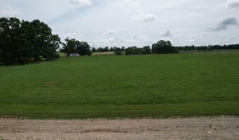 Tract 1 0000 Private Road 1184, Aurora, MO 65605