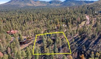 12 County Rd 2074, Alpine, AZ 85920