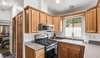 85 Revett Dr 100, Breckenridge, CO 80424