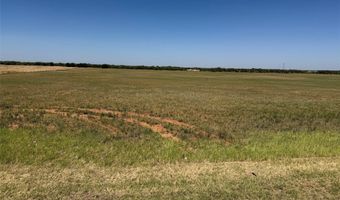 TBD Lot 28 County Road 497, Anson, TX 79501