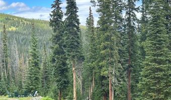 355 QUANDARY VIEW Dr, Breckenridge, CO 80424