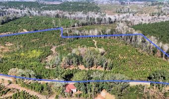County Road 25, Banks, AL 36005