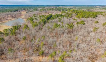 BRUSHY CEMETERY Road, Amity, AR 71921