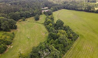 3350 SE Mt Pleasant Ln, Bogue Chitto, MS 39629