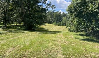 0 Christi Smith Rd, Andalusia, AL 36421