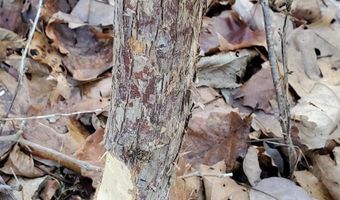 4775 S 50th Rd, Aldrich, MO 65601