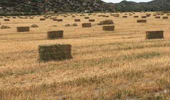44350 Sage RD Rd, Aguanga, CA 92536
