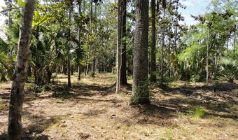 114 Melanie Ln, Apalachicola, FL 32320