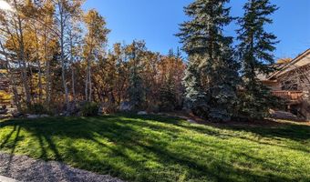 1117 OVERLOOK Dr 1117, Steamboat Springs, CO 80487