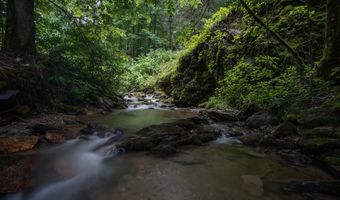 556 Unahala Creek Rd, Bryson City, NC 28713