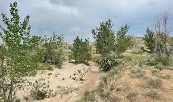 1242 Hwy 20 S, Basin, WY 82410
