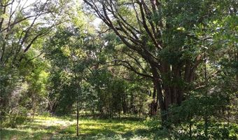 15422 SW 50TH Ave, Archer, FL 32618