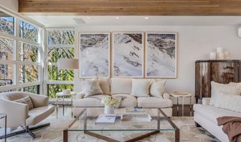 708 E Hyman Ave, Aspen, CO 81611