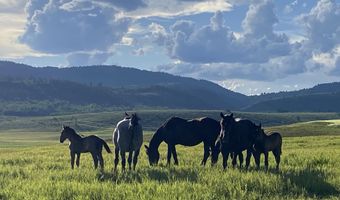 79 AUBURN FOREST Rd, Afton, WY 83110