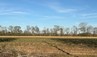S Hospital Drive, Abbeville, LA 70510