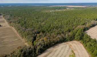N Bob Brooks Road, Baker, FL 32531