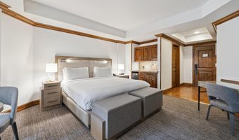 415 E Dean St Unit 20 Week 33, Aspen, CO 81611