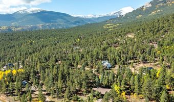 11982 Peak To Peak Dr, Allenspark, CO 80510