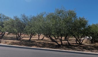 1030 S Barrel Cactus Rdg 149, Benson, AZ 85602